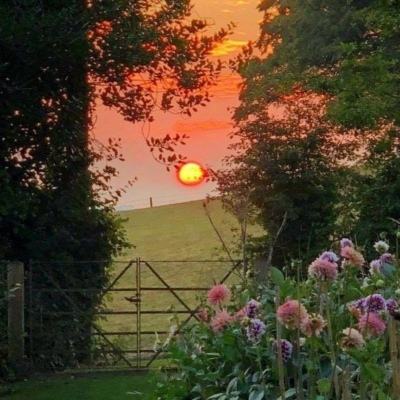 好彩网下载手机版