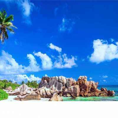 AOA体育下载手机版